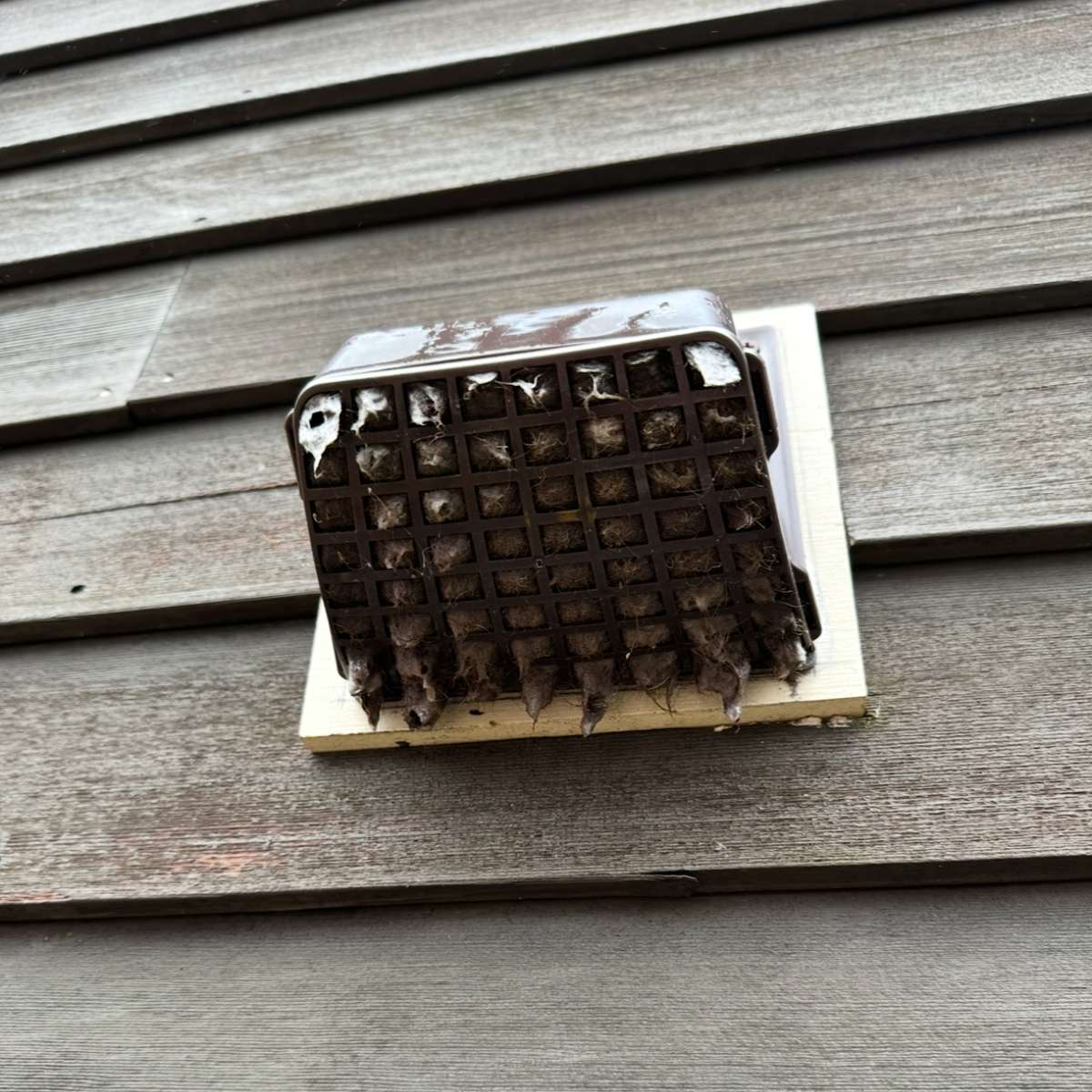 Dirty dryer vent cover with lint buildup, illustrating fire hazard and need for professional cleaning services in Massachusetts.