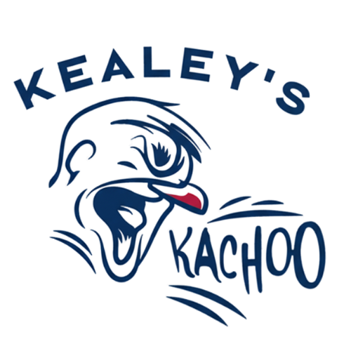 BK Duct Dryer Cleaning logo featuring a stylized bird design, emphasizing air duct and dryer vent cleaning services.